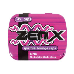 Zen X Lounge  van DNX voor het heerlijke 'Zen' gevoel.